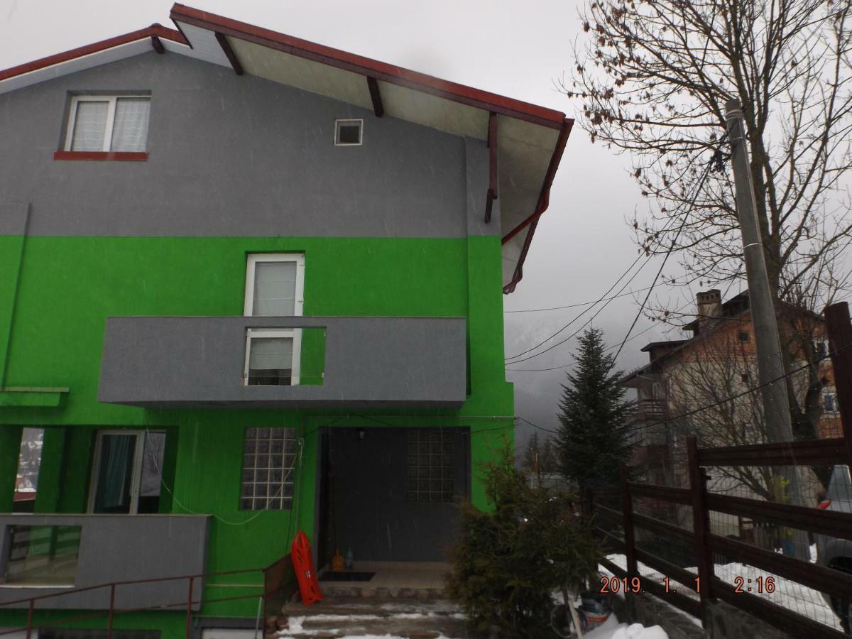 Vila Cri Cri Hotel Buşteni Exterior foto